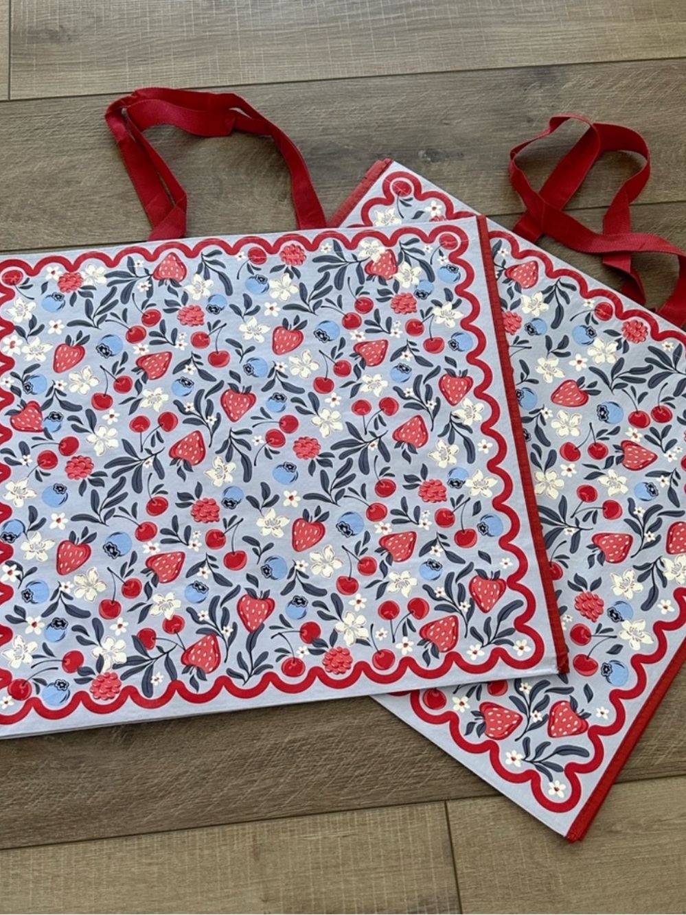 Homegoods TJMaxx Marshalls Viral Berry Print Reusable Tote Bags Set of 2 NWOT